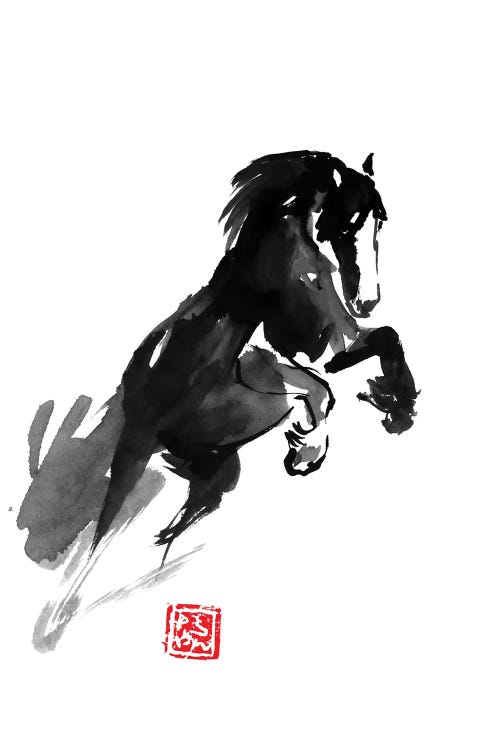 Jumping Horse