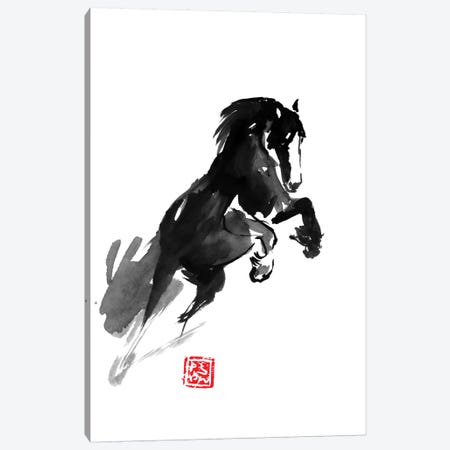 Jumping Horse Canvas Print #PCN89} by Péchane Canvas Print