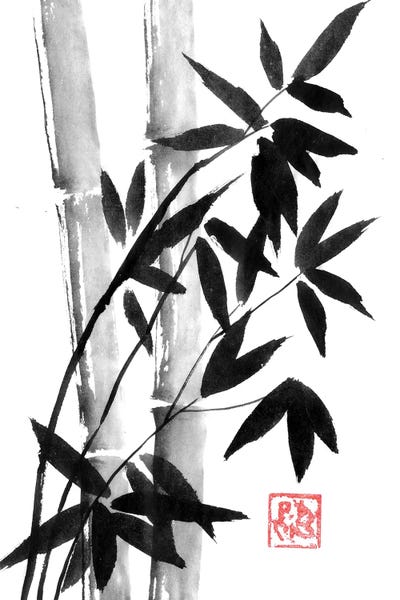Black & White Florals: Bamboos In Forest by Péchane