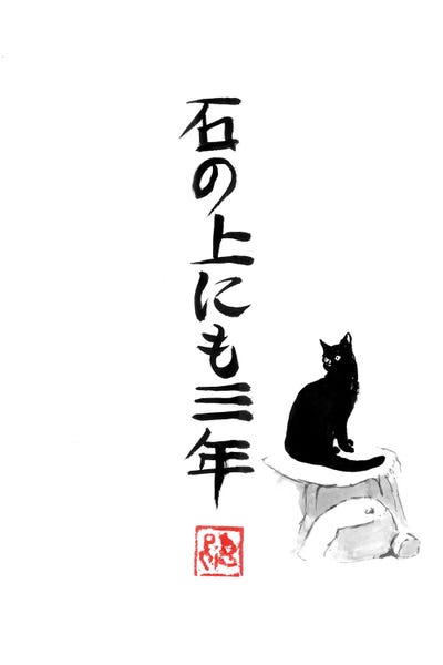 Black Cats: 3 Years On A Stone by Péchane