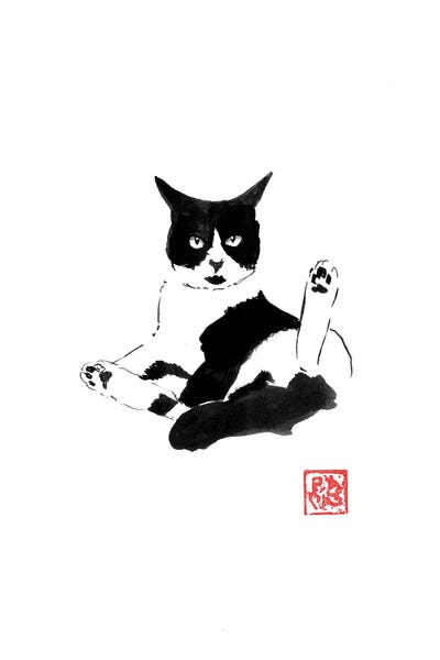 Japanese Minimalism: Washing Cat by Péchane