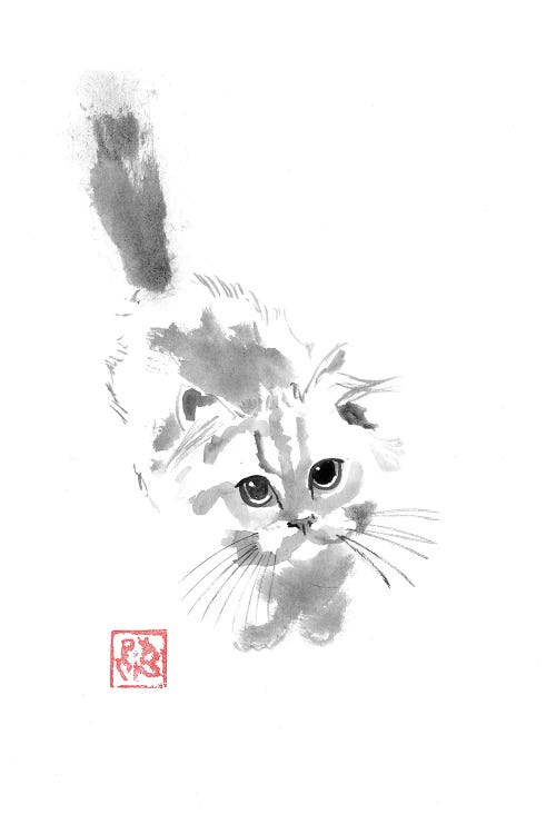 Cute Fluffy Cat by Péchane wall art