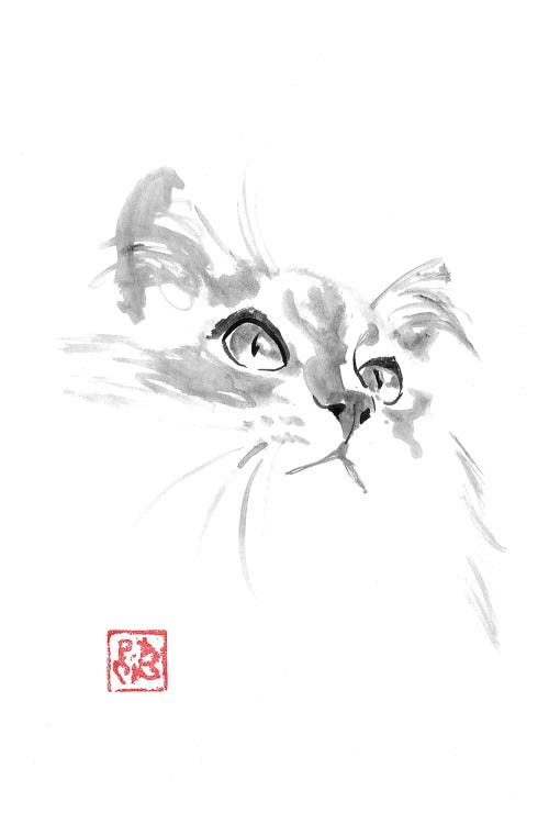 Cute Fluffy Kitty by Péchane wall art