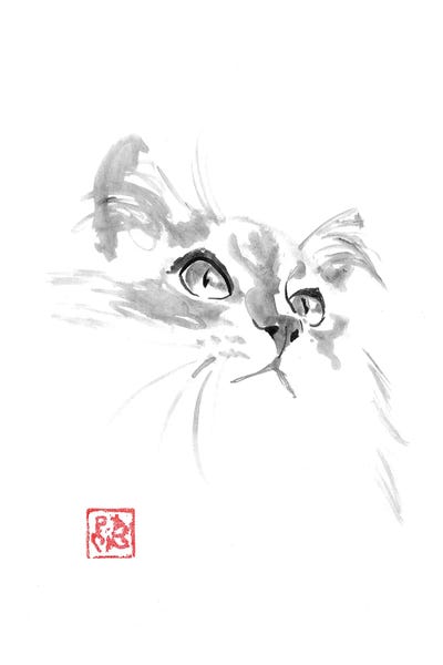 Cute Fluffy Kitty