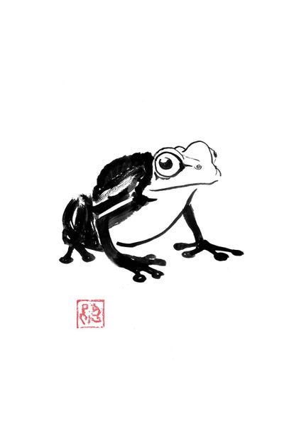 Frogs: Black Frog by Péchane