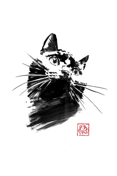 Fine Art Print: Black Cat Interest by Péchane