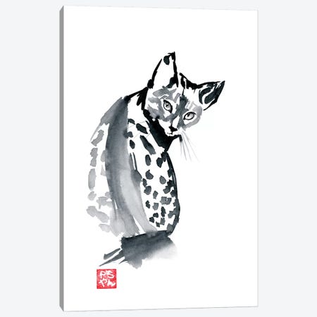 Leopard Cat Canvas Print #PCN96} by Péchane Canvas Print