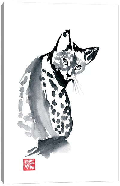 Leopard Cat Canvas Art Print - Péchane