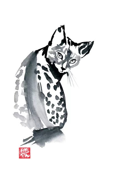 Black & White & Red: Leopard Cat by Péchane