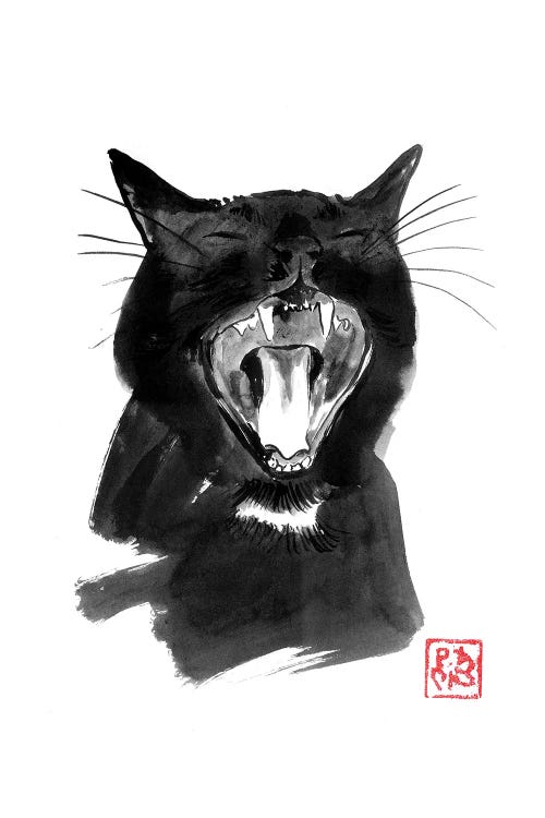 Yawning Black Cat