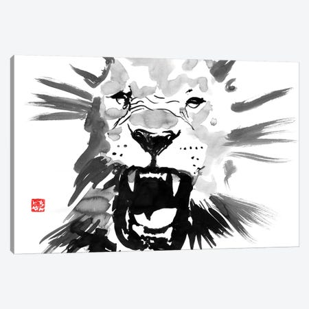 Lion Canvas Print #PCN97} by Péchane Art Print