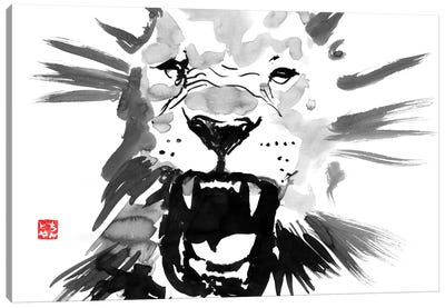 Lion Canvas Art Print - Péchane