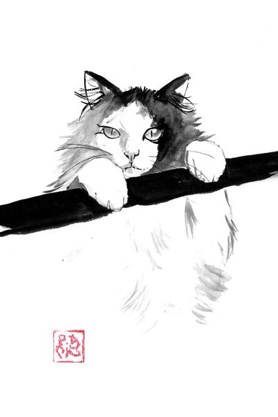 Japanese Cat
