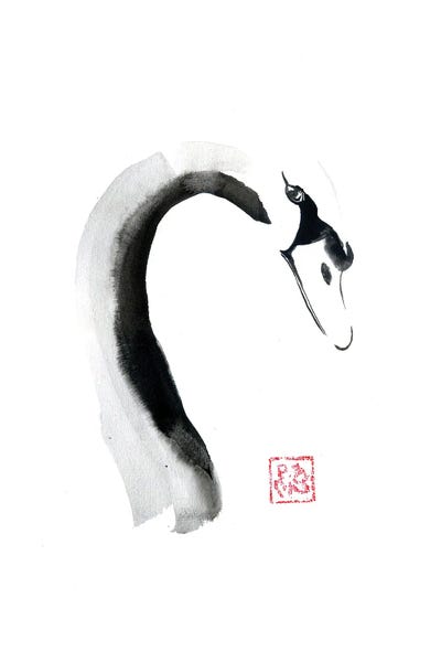 Swan Face