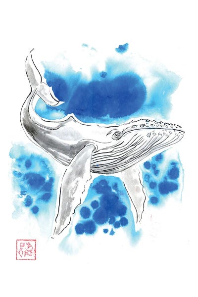 Whale Turquoise
