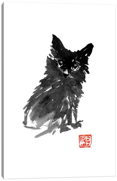 Little Black Cat Canvas Art Print - Péchane