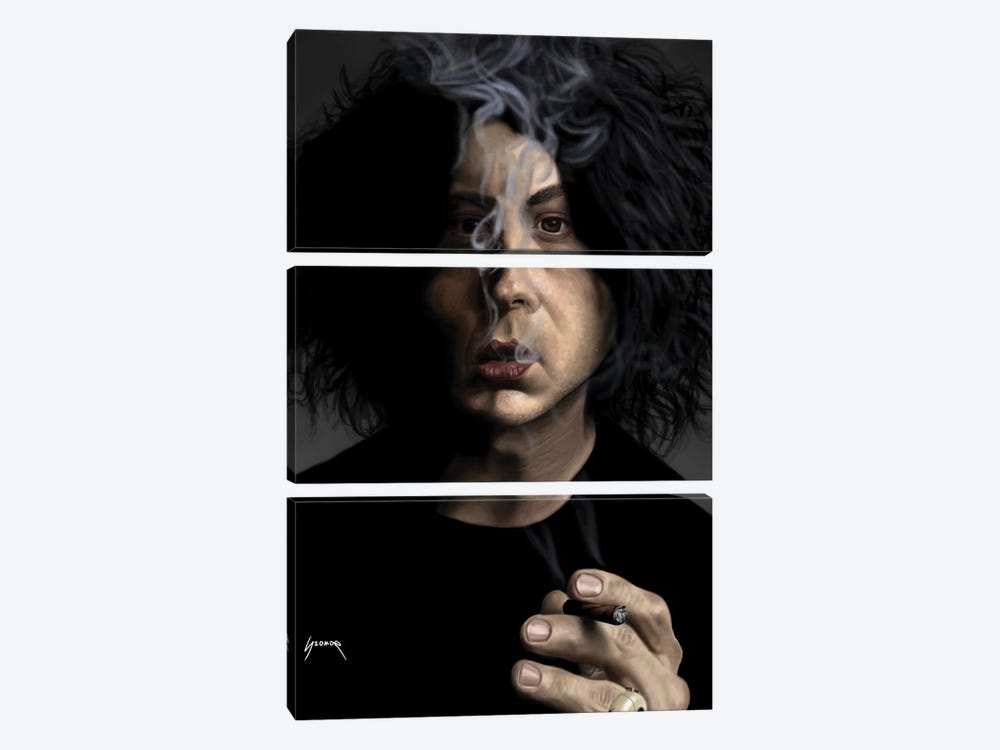 Jack White III by Pop Cult Posters 3-piece Canvas Wall Art