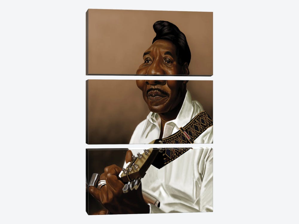 Muddy Waters II by Pop Cult Posters 3-piece Canvas Artwork