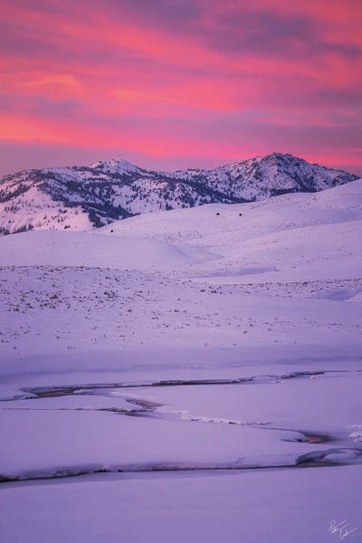 Picturesque by Peter Coskun canvas print
