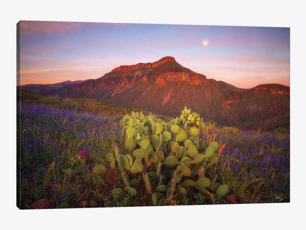 Spring Fling by Peter Coskun 1-piece Canvas Art