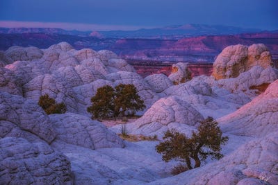 Stepping Stones by Peter Coskun art print