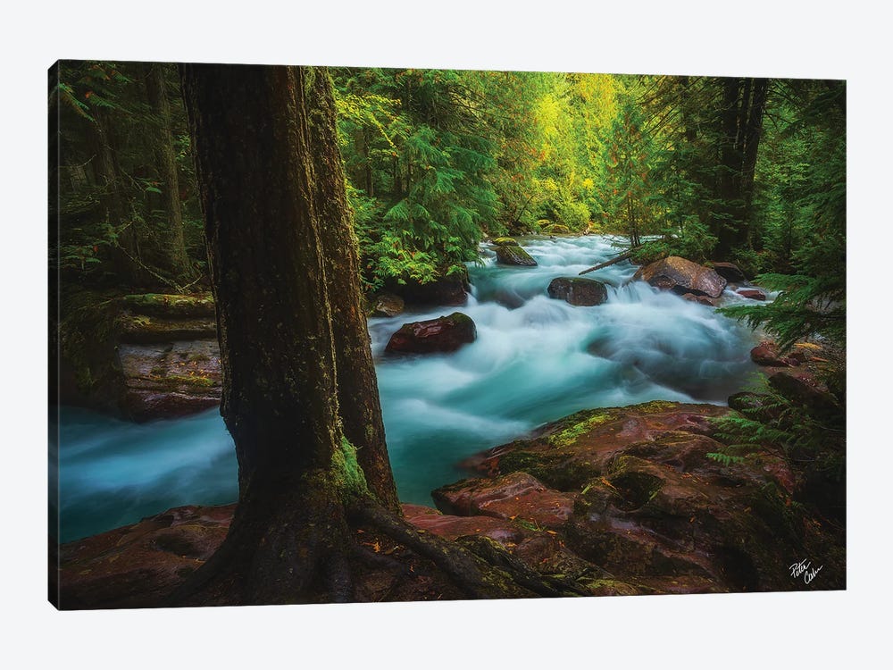 Avalanche Frame by Peter Coskun 1-piece Canvas Art