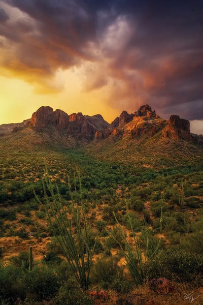 Surrounded by Peter Coskun canvas print
