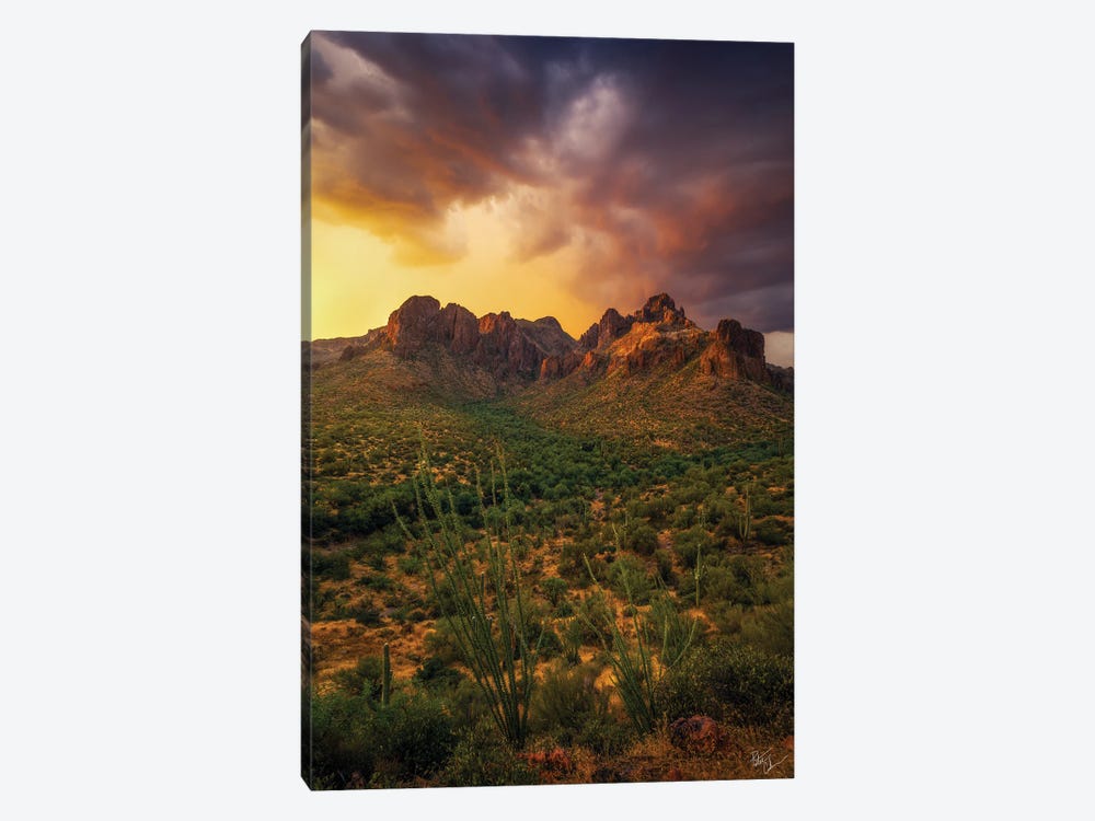 Surrounded by Peter Coskun 1-piece Canvas Art