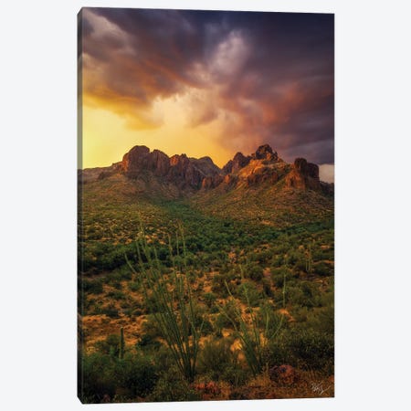 Surrounded Canvas Print #PCS111} by Peter Coskun Art Print