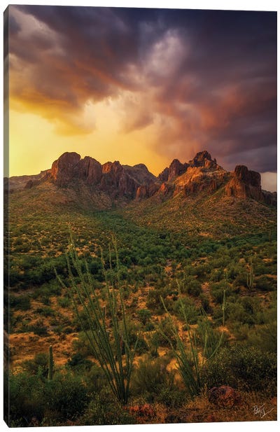 Surrounded Canvas Art Print - Peter Coskun