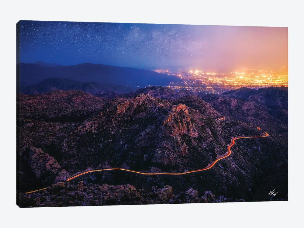Taking Chances by Peter Coskun 1-piece Canvas Print