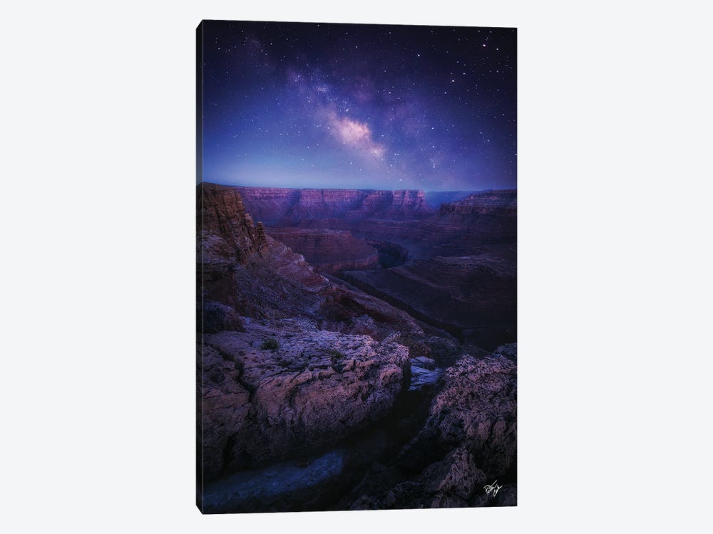 That Magic Moment by Peter Coskun 1-piece Canvas Wall Art