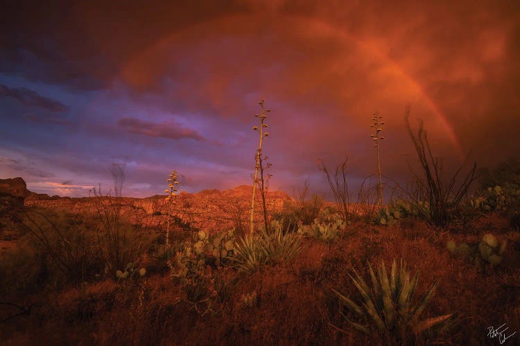 The Coming Storm by Peter Coskun wall art