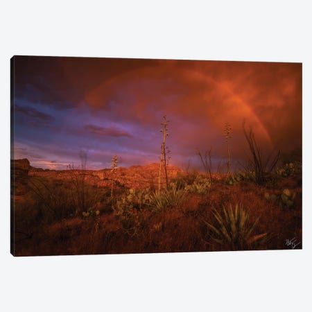 The Coming Storm Canvas Print #PCS114} by Peter Coskun Canvas Art