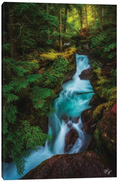 The Gorge Canvas Art Print - Peter Coskun
