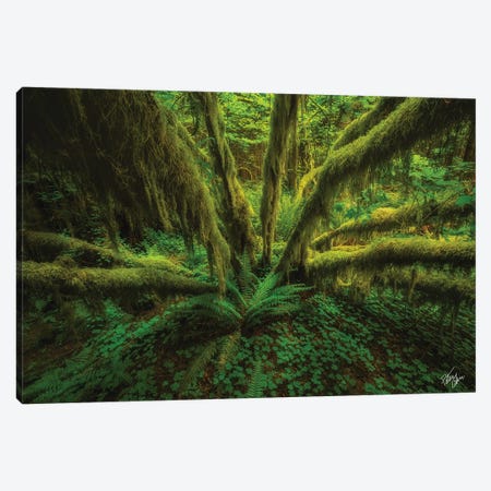 The Green Monster Canvas Print #PCS117} by Peter Coskun Canvas Art