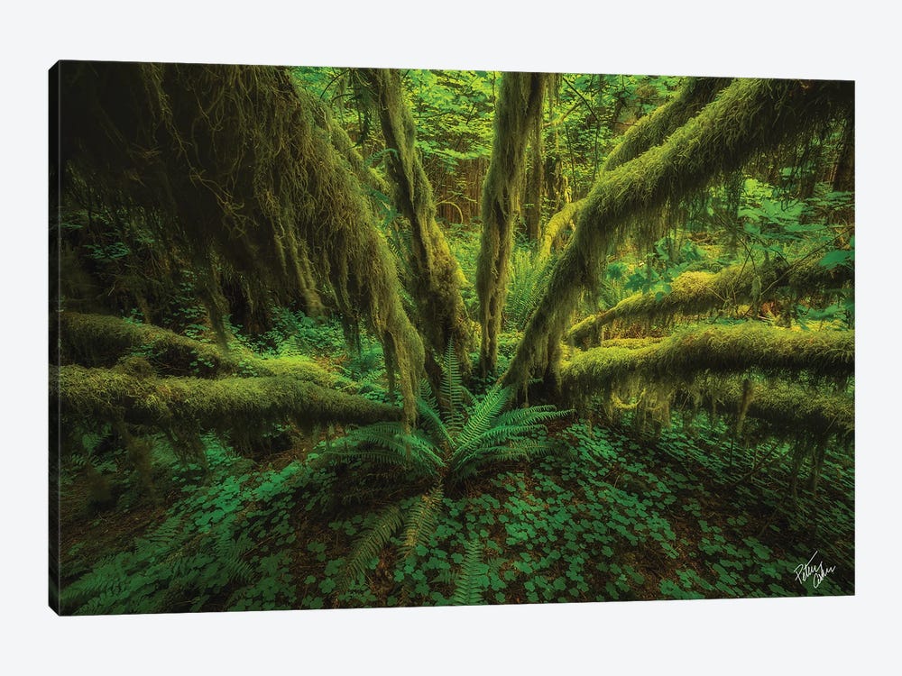 The Green Monster by Peter Coskun 1-piece Canvas Art