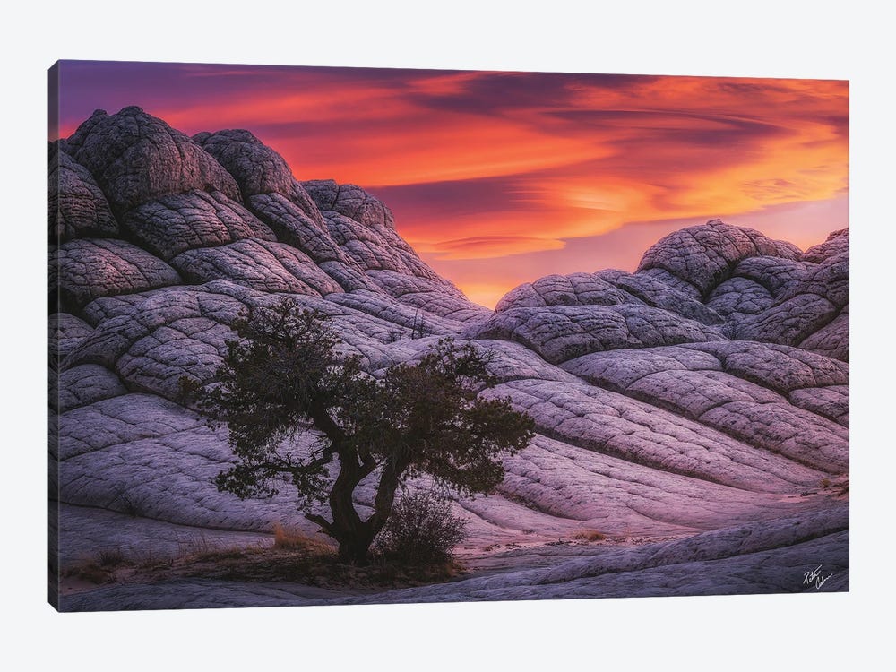 The Martian by Peter Coskun 1-piece Canvas Print