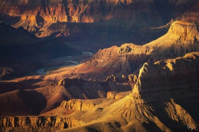 Timeless by Peter Coskun art print