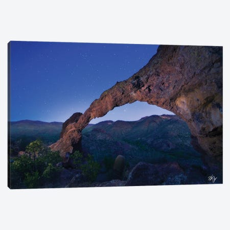 Tucked Away Canvas Print #PCS121} by Peter Coskun Canvas Wall Art