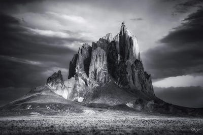Wings by Peter Coskun art print