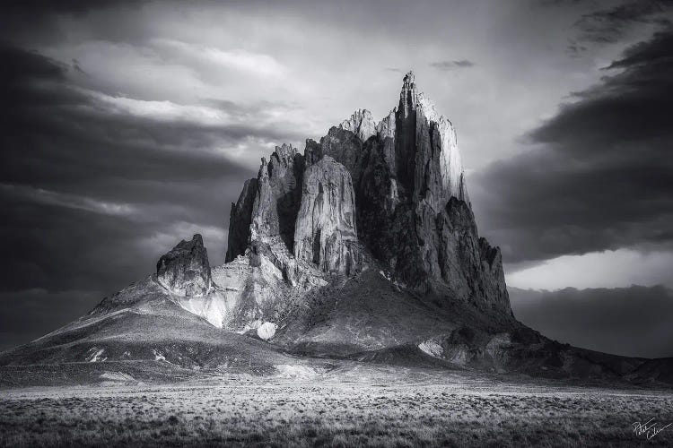 Wings by Peter Coskun wall art
