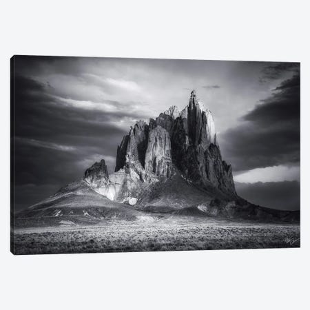 Wings Canvas Print #PCS123} by Peter Coskun Canvas Wall Art