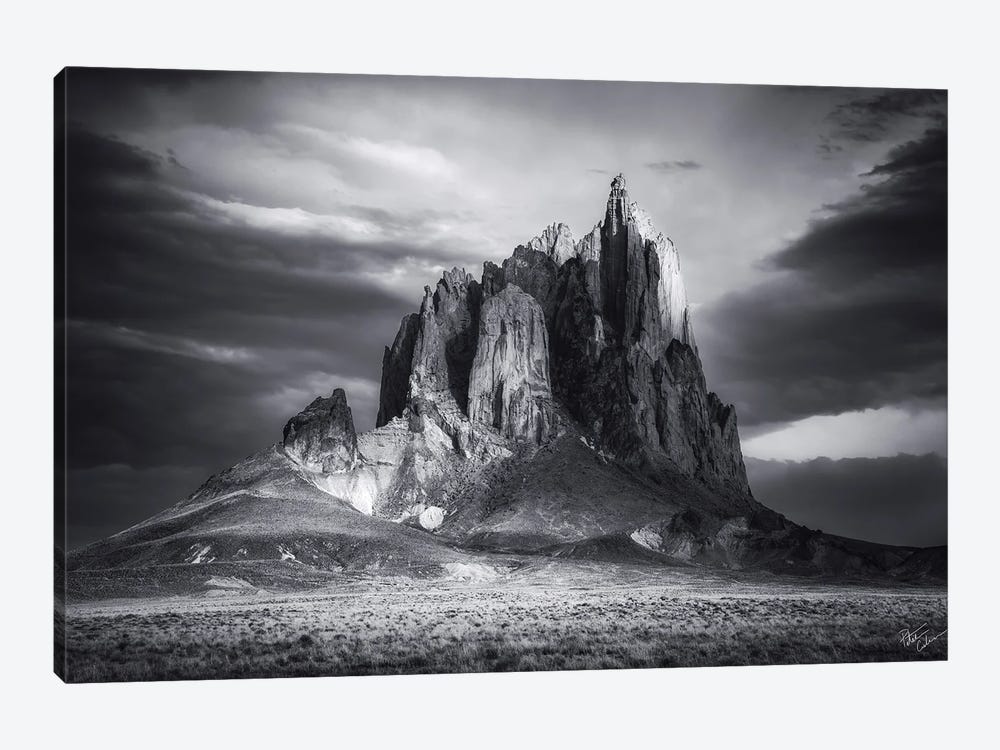 Wings by Peter Coskun 1-piece Canvas Art Print