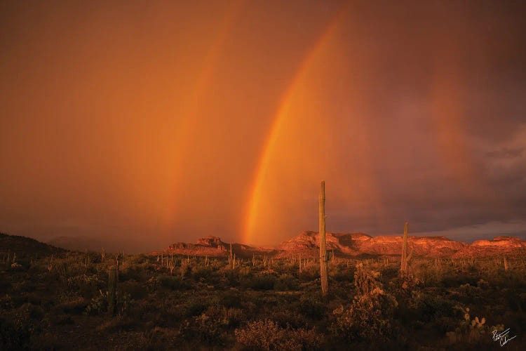 When The Rains Came