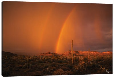 When The Rains Came Canvas Art Print - Peter Coskun