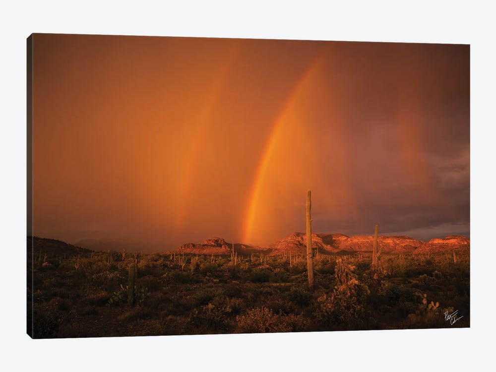 When The Rains Came by Peter Coskun 1-piece Canvas Artwork