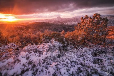 White Christmas by Peter Coskun canvas print