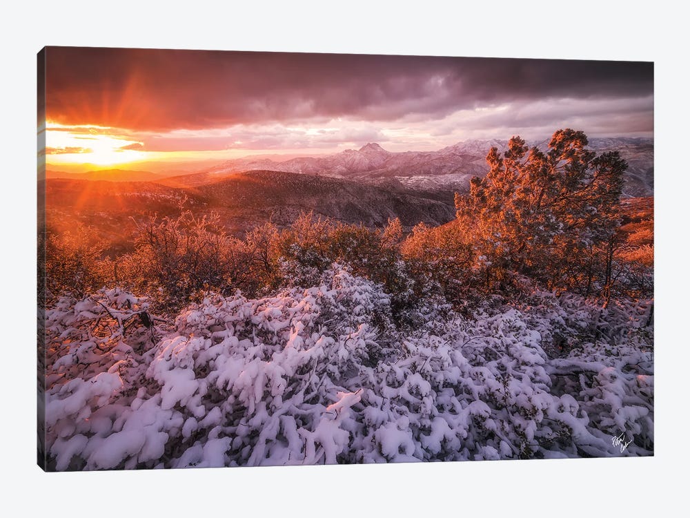 White Christmas by Peter Coskun 1-piece Art Print
