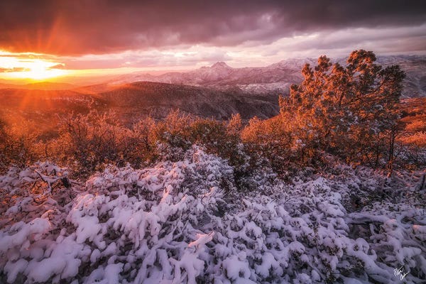 Rustic Winter: White Christmas by Peter Coskun